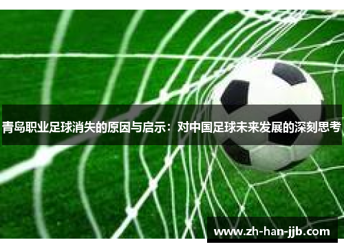青岛职业足球消失的原因与启示：对中国足球未来发展的深刻思考